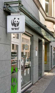 WWF office in Luisenstrasse