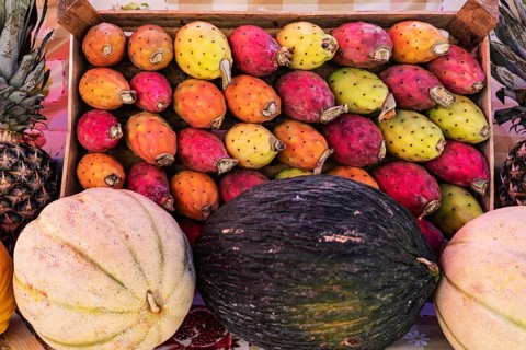 Cactus fruits and melons