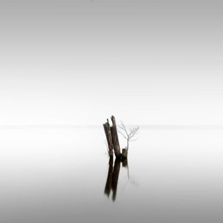 Old groynes for bank protection at Mueggelsee in Berlin