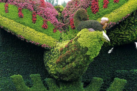 Plant sculpture