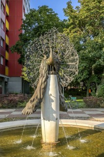 Peacock Fountain