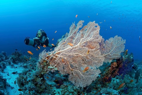German diving legend in Egypt Rudi Kneip