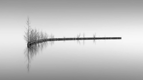 Groynes for bank protection at Mueggelsee in Berlin