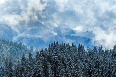View from the snow-covered Winklmoosalm