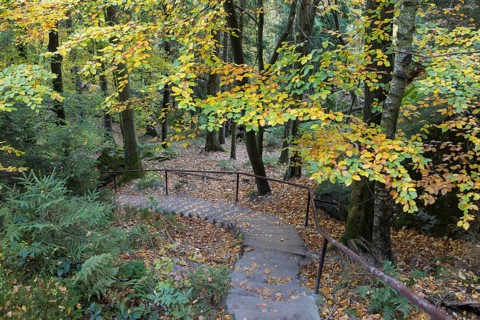 Long staircase