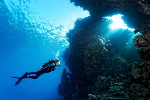 Divers in front of coral reef wall with breakthrough
