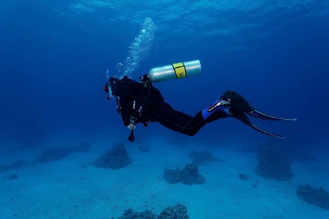 Diver