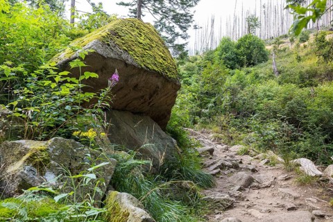 Hiking trail along the Ilse in the Ilse valley