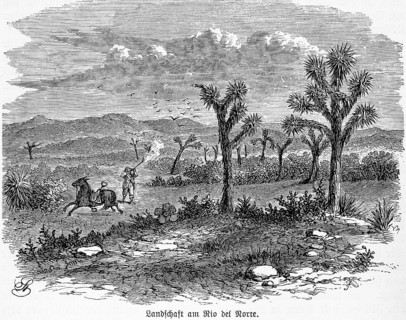 Rio del Norte
