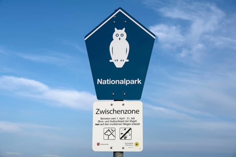 Bird sanctuary