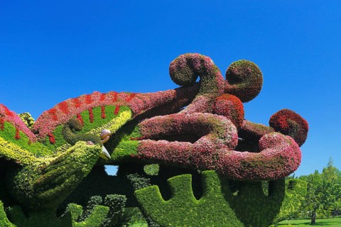 Plant sculpture