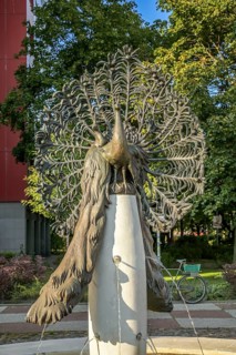 Peacock Fountain