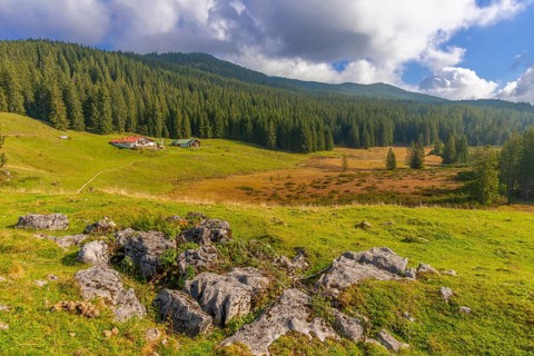 Winklmoosalm