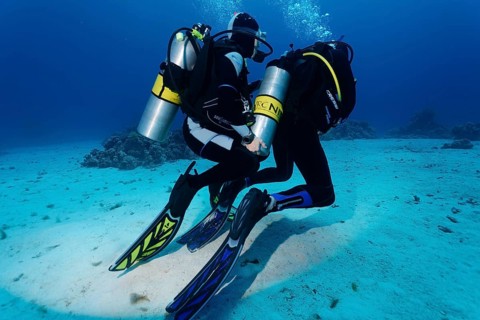 Diver helps other diver