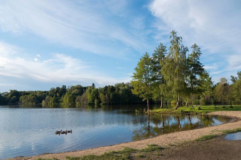 Lake Podebrady