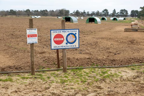 Free range pig farming disease precautions No Entry sign