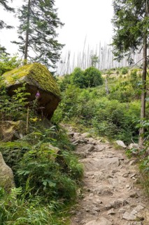 Hiking trail along the Ilse in the Ilse valley