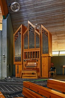 The organ