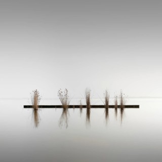 Groynes for bank protection at Mueggelsee in Berlin