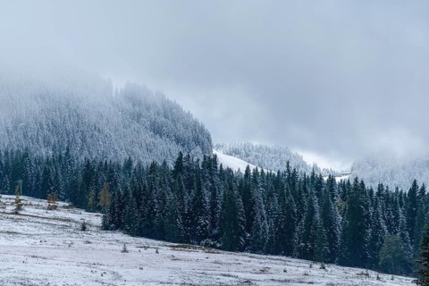 View from the snow-covered Winklmoosalm