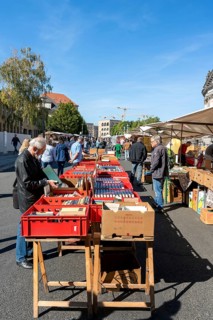 Flea market with books and records at the Bodemuseum