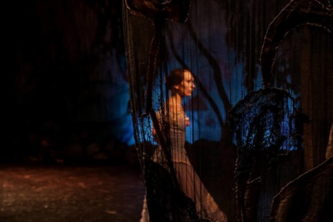 Ballet dancer through a curtain during the performance of Tchaikovsky s Swan Lake in St. Petersburg