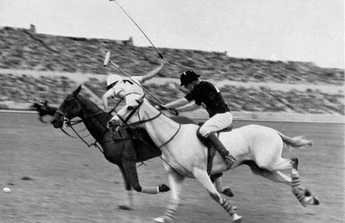 Polo