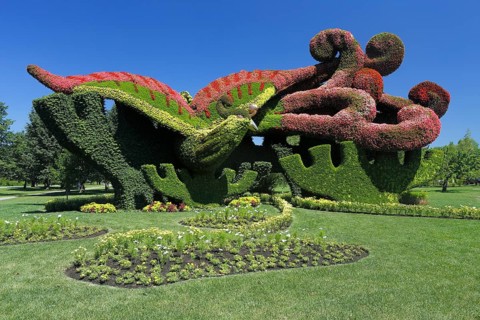 Plant sculpture