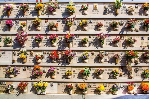 View of the urn graves in the cemetery