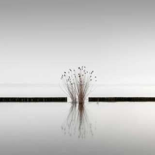Groynes for bank protection at Mueggelsee in Berlin