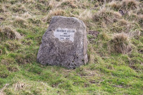 Memorial stone to naturalist Beatrice Gillam 1920-2016
