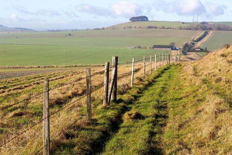 Fence line running along Wansdyke earthworks
