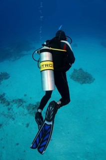 Diver