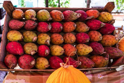 Cactus fruits and melons