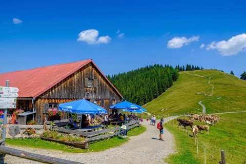 Fahnengehrenalpe