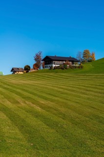 Alpine pasture and mown meadow