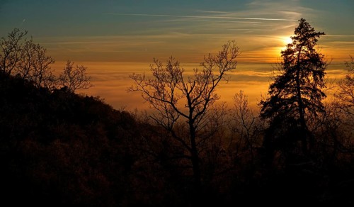 Setting sun