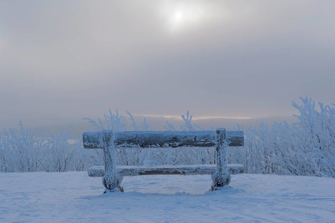 Bench in the morning in winter