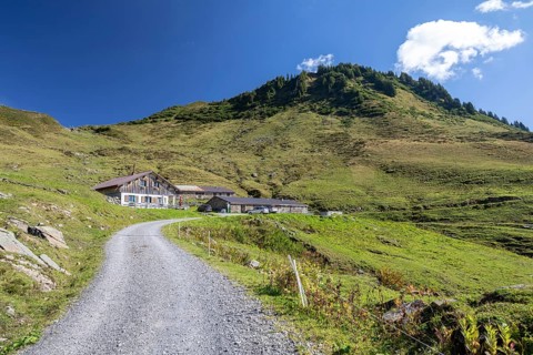 View of the Portlakopf from Alpe Porla