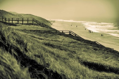 Footbridge with walker in dune landscape