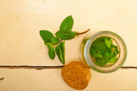 Fresh mint leaves on a glass jarover a rustic white wood table