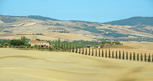 Poggio Covili estate with cypress