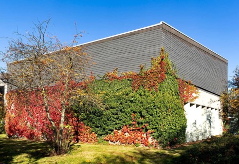 Facade greening with autumn leaves on a building of the Rhein-Sieg-Gymnasium