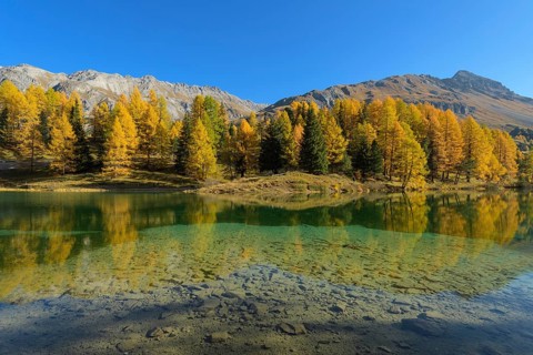 Mountain lake with larch trees in autumn