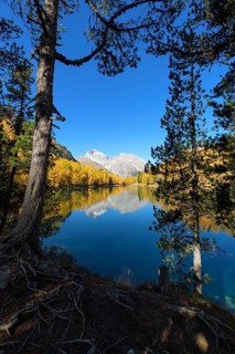 Mountain lake with larch trees in autumn