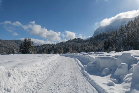 Path in winter