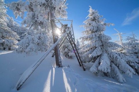 Snow covered winter landscape with raised hide and sun