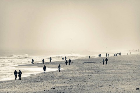 Walkers on the North Sea coast