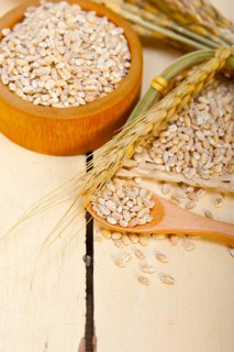 Organic barley grains over rustic wood table macro closeup