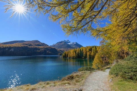 Path with colorful larch trees and sun in autumn